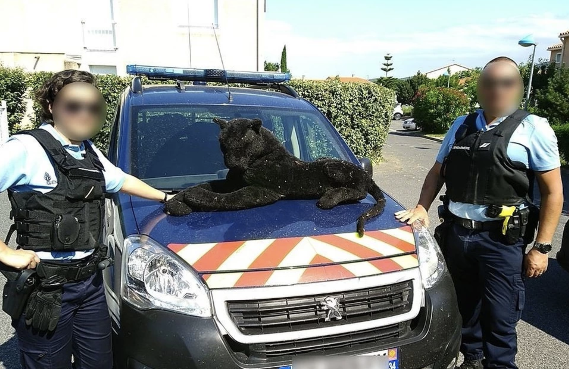 Французские жандармы «арестовали» плюшевую пантеру