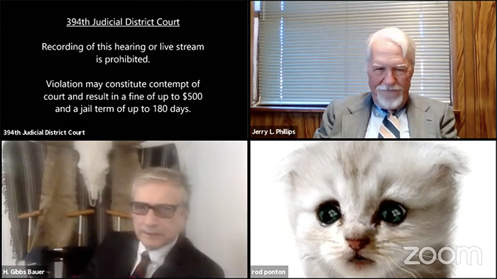 В Штатах на онлайн-заседании суда выступил адвокат-котенок